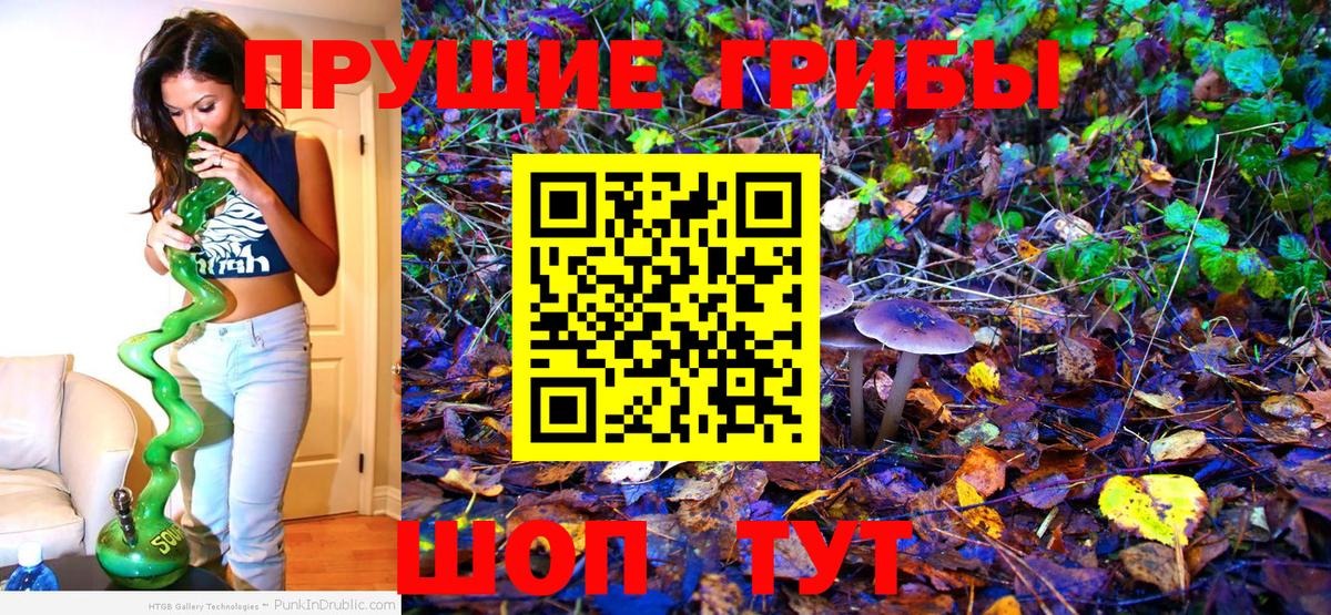 купить закладку  Галлюциногенные грибы мицелий  Вход с VPN  Донецк 